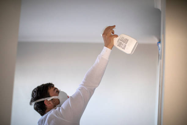 Best Attic Mold Removal  in Newcastle, WA