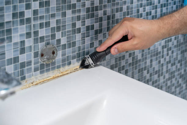 Best Same-Day Mold Removal  in Newcastle, WA