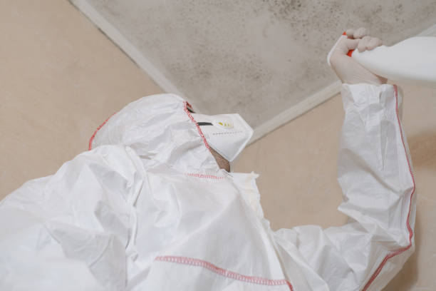 Best Mold Removal Near Me  in Newcastle, WA